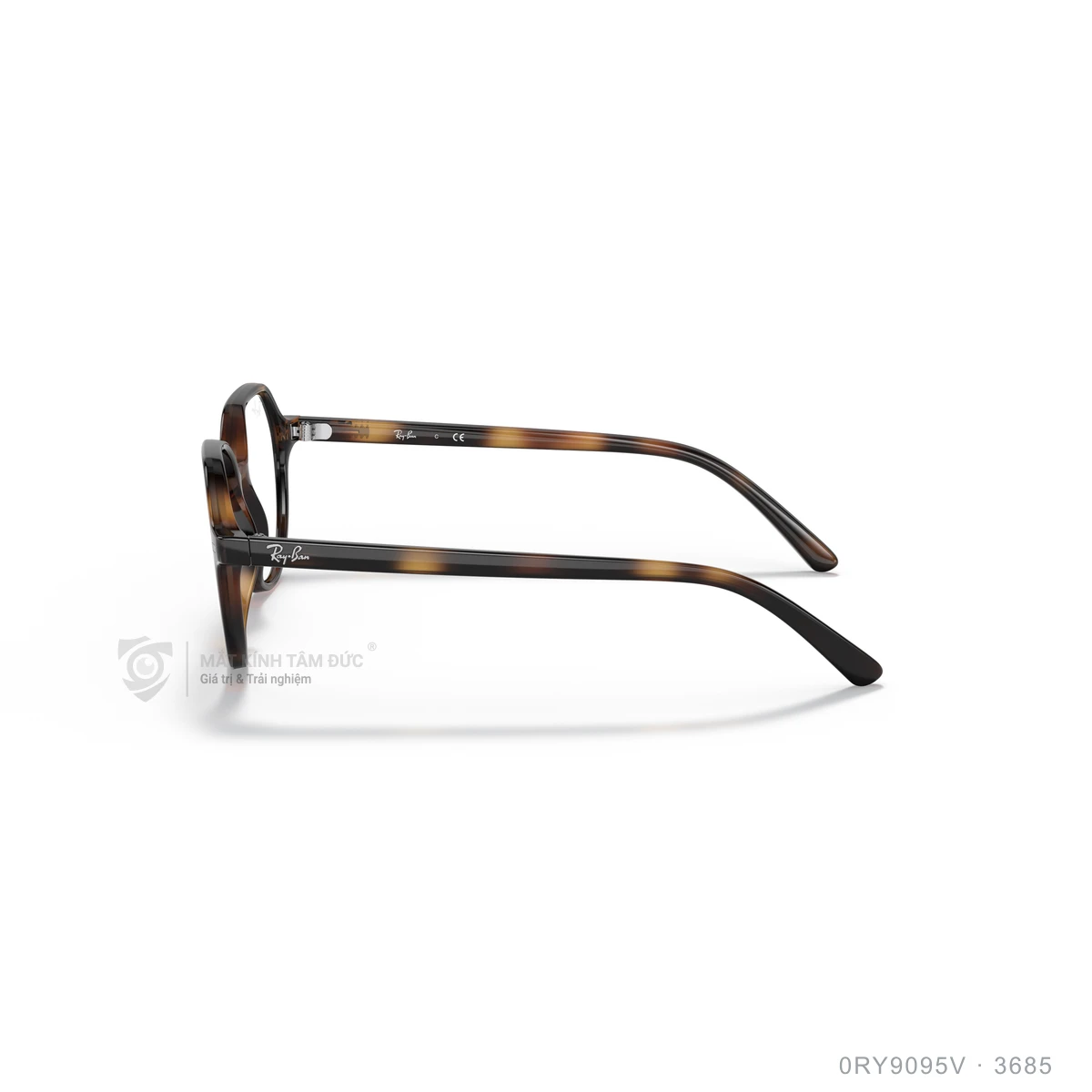 Gọng kính Rayban 0RY9095V - Ảnh 19
