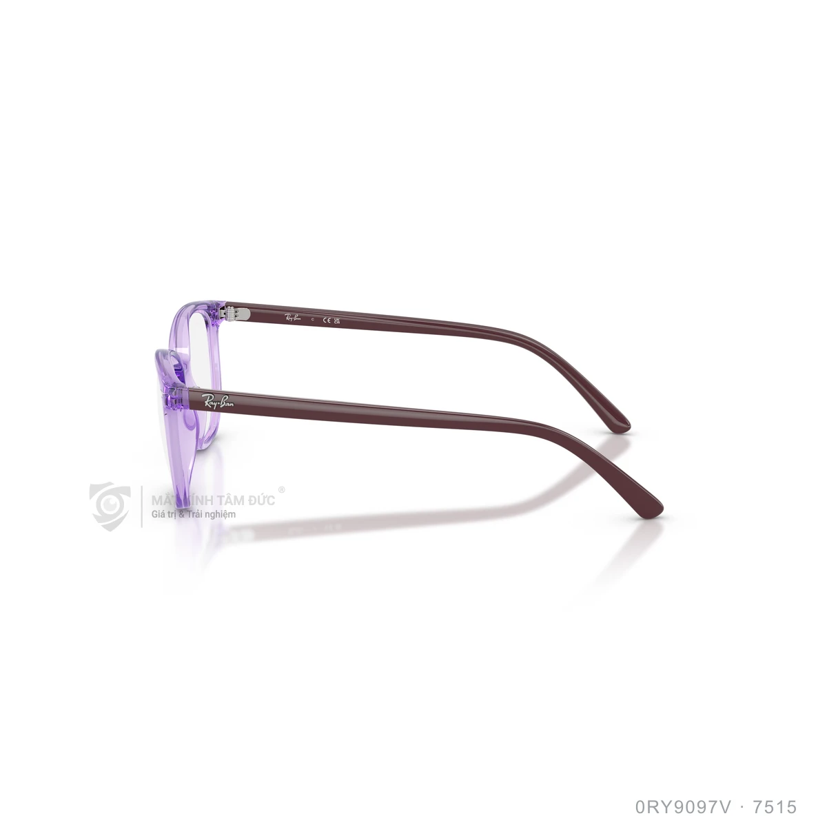 Gọng kính Rayban 0RY9097V - Ảnh 29