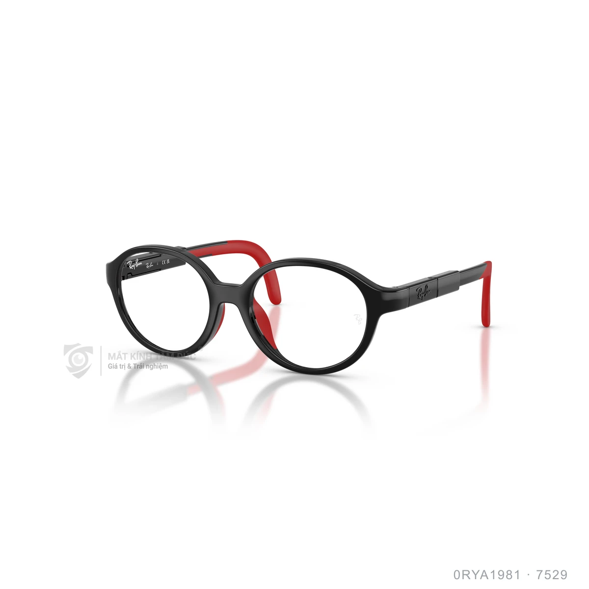 Chi tiết góc nghiêng Gọng kính Rayban 0RYA1981