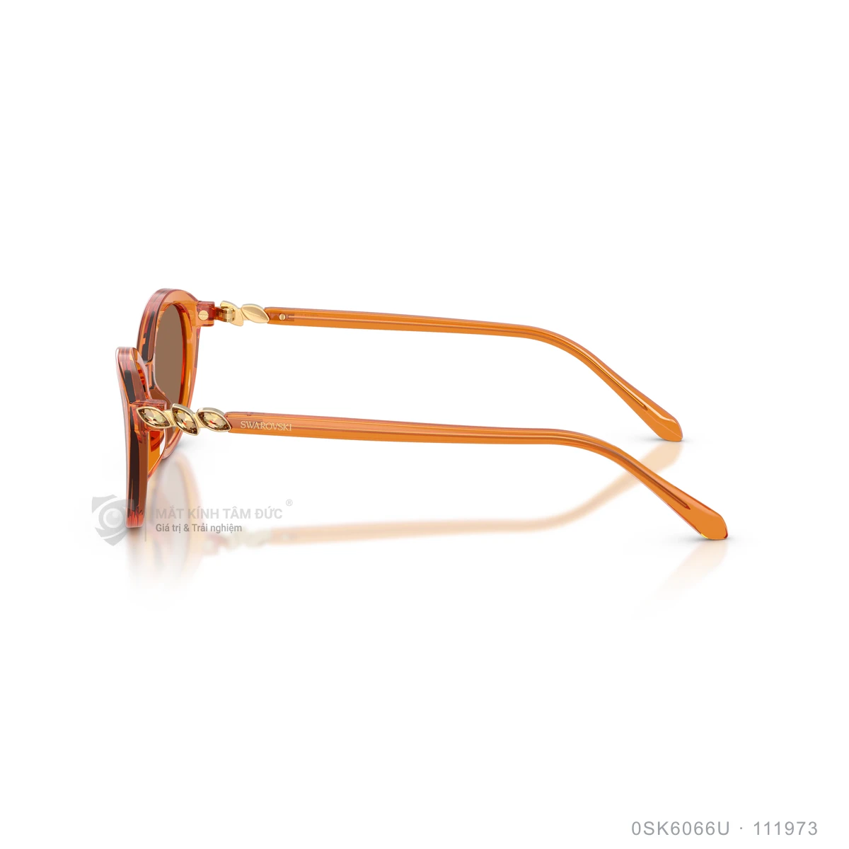 Kính mát Swarovski 0SK6066U - Ảnh 19