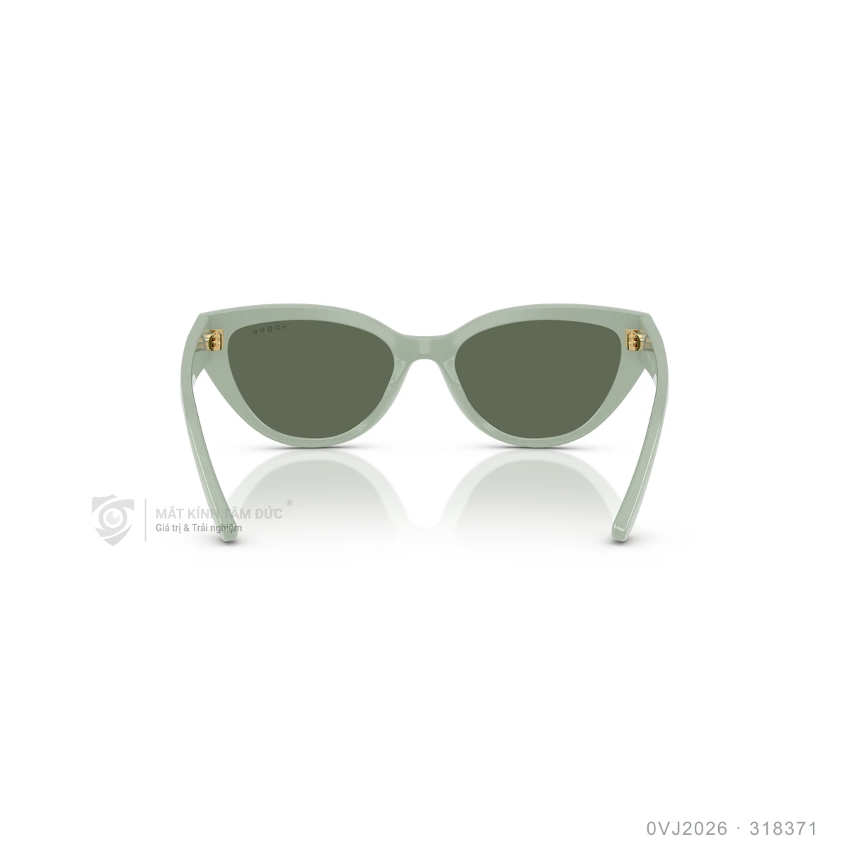 Kính mát Vogue 0VJ2026 - Ảnh 15