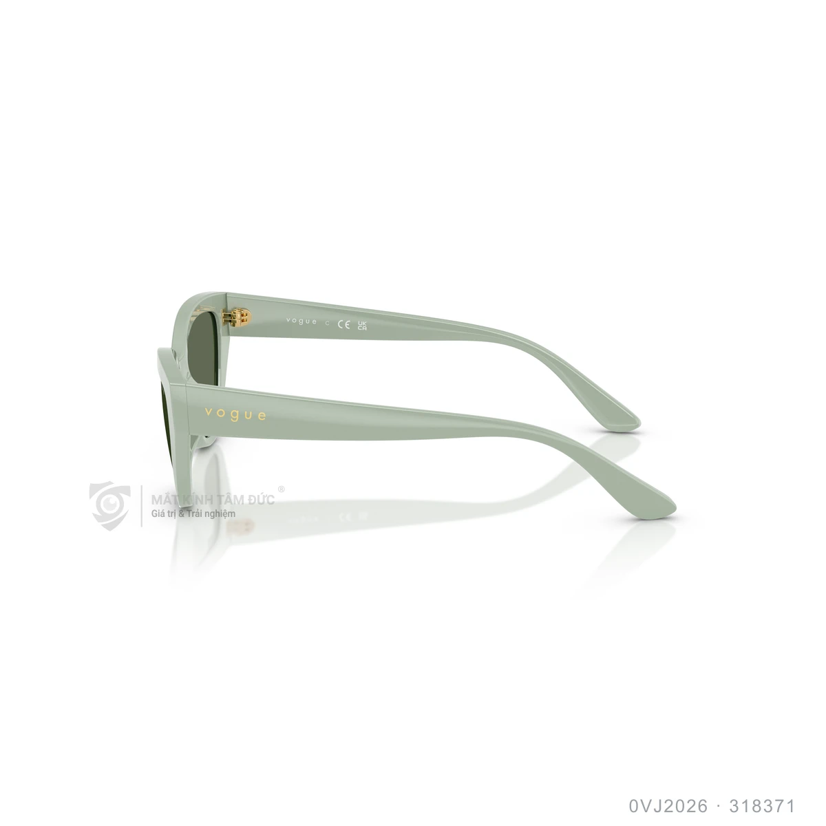 Kính mát Vogue 0VJ2026 - Ảnh 14