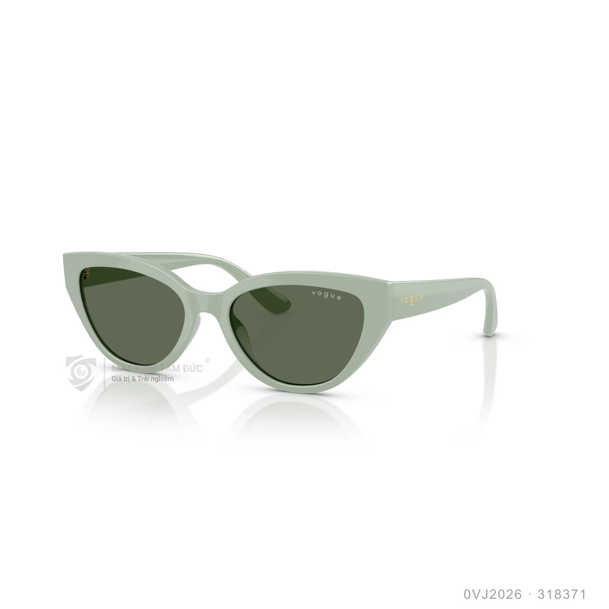 Kính mát Vogue 0VJ2026 - Ảnh 12
