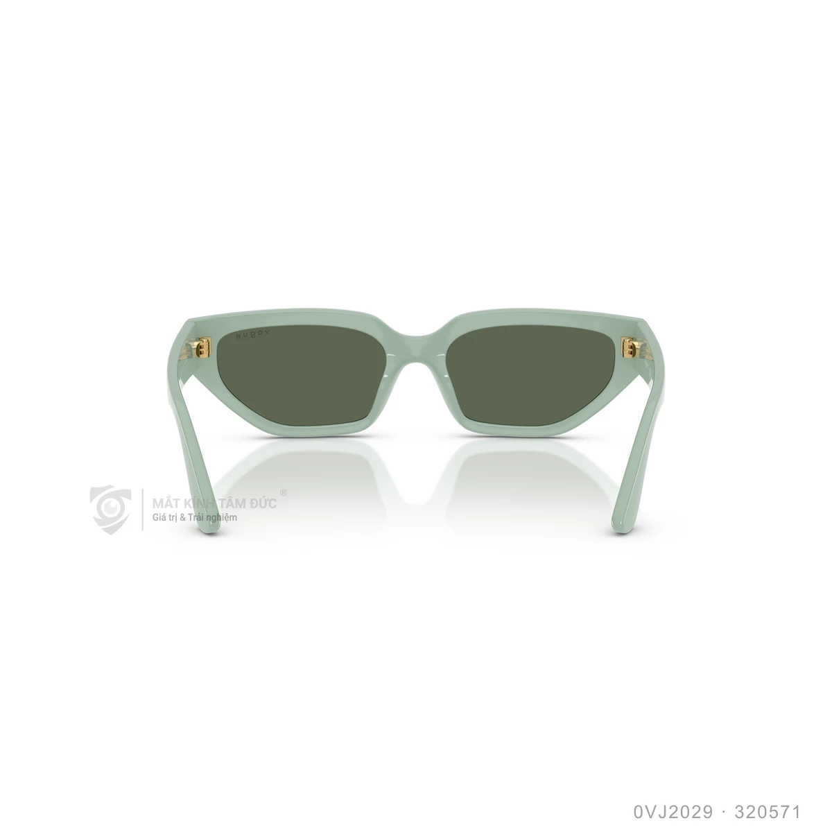 Kính mát Vogue 0VJ2029 - Ảnh 5