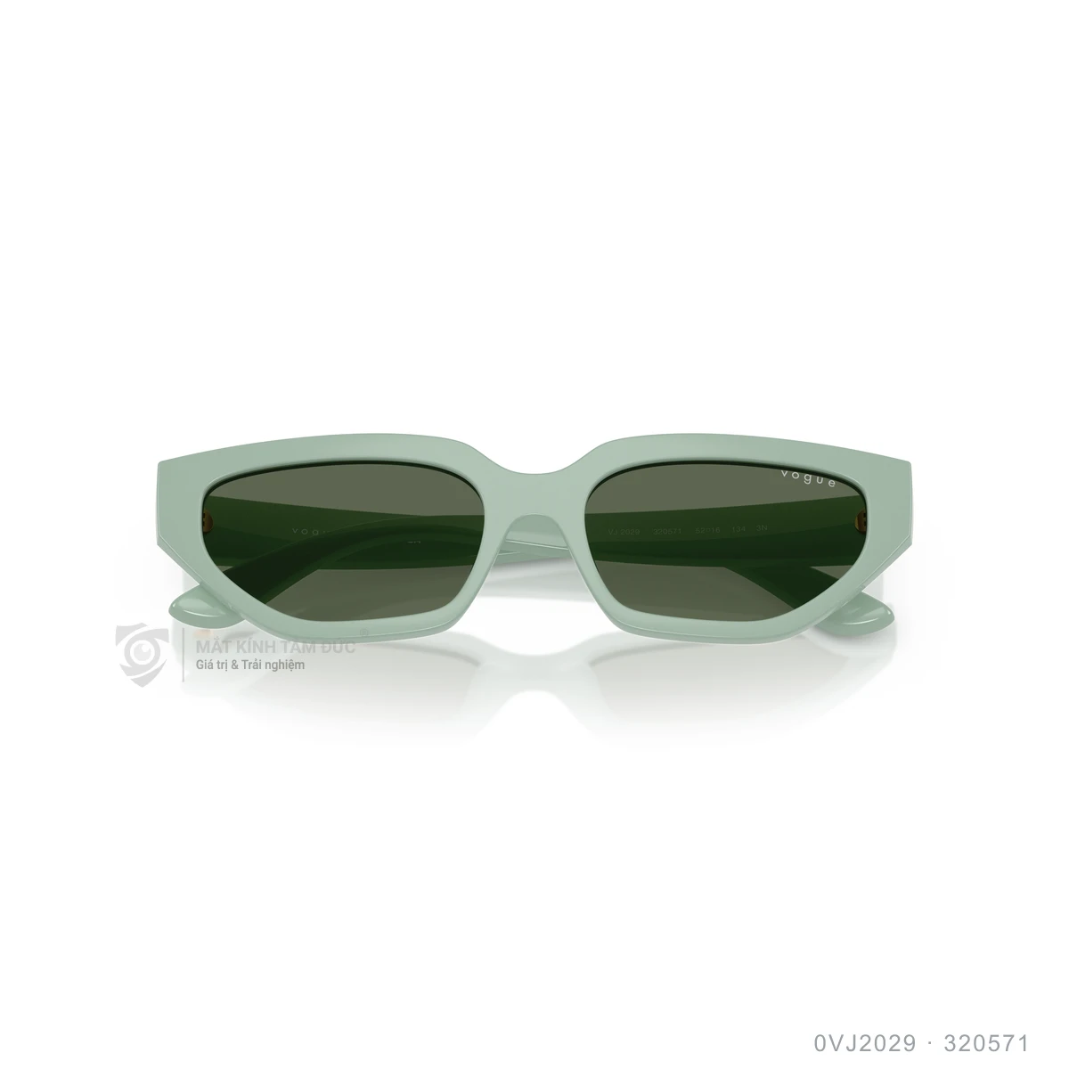 Kính mát Vogue 0VJ2029 - Ảnh 3