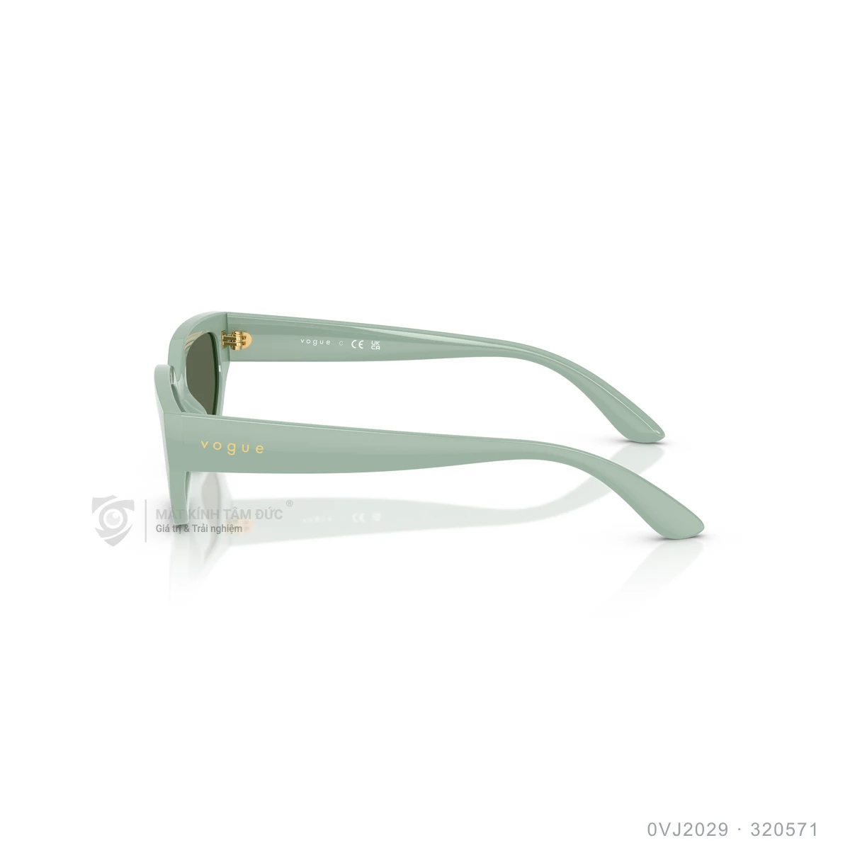 Kính mát Vogue 0VJ2029 - Ảnh 4