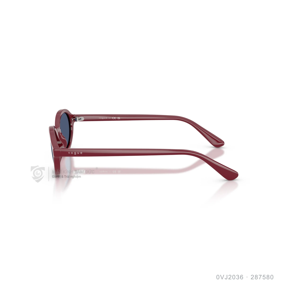 Kính mát Vogue 0VJ2036 - Ảnh 9