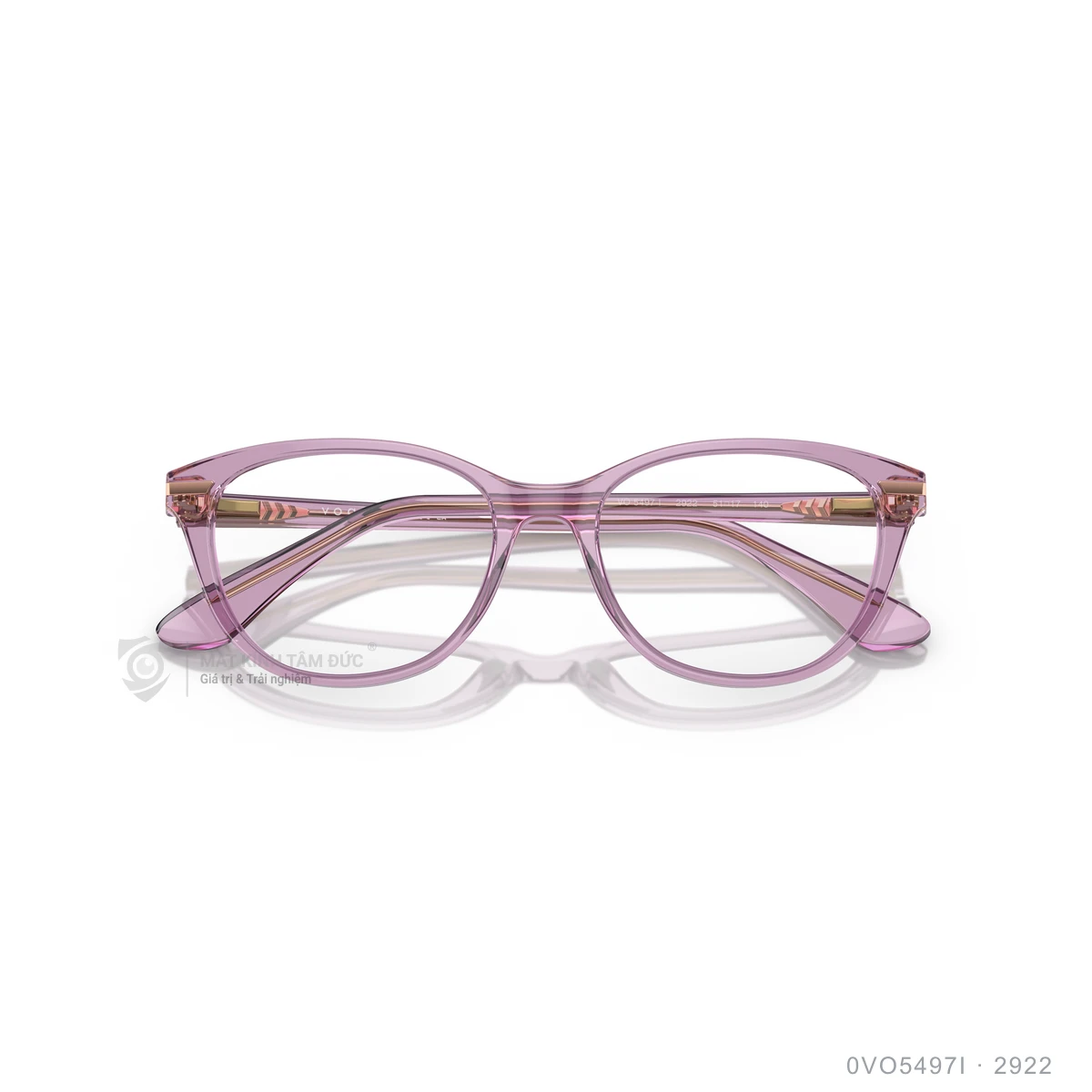 Gọng kính Vogue 0VO5497I - Ảnh 8