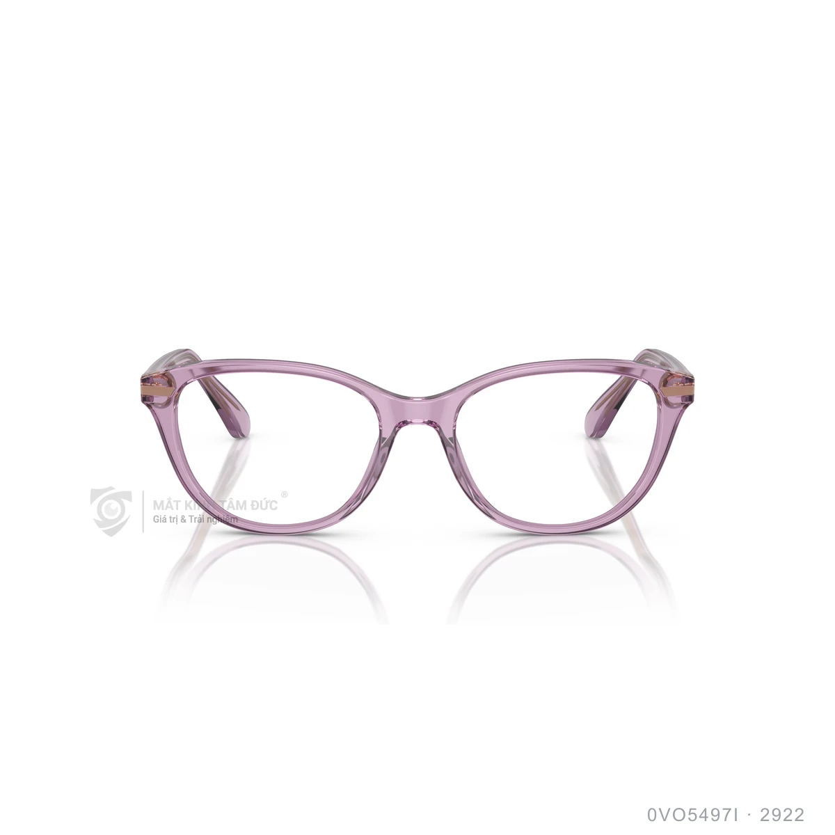 Gọng kính Vogue 0VO5497I - Ảnh 6