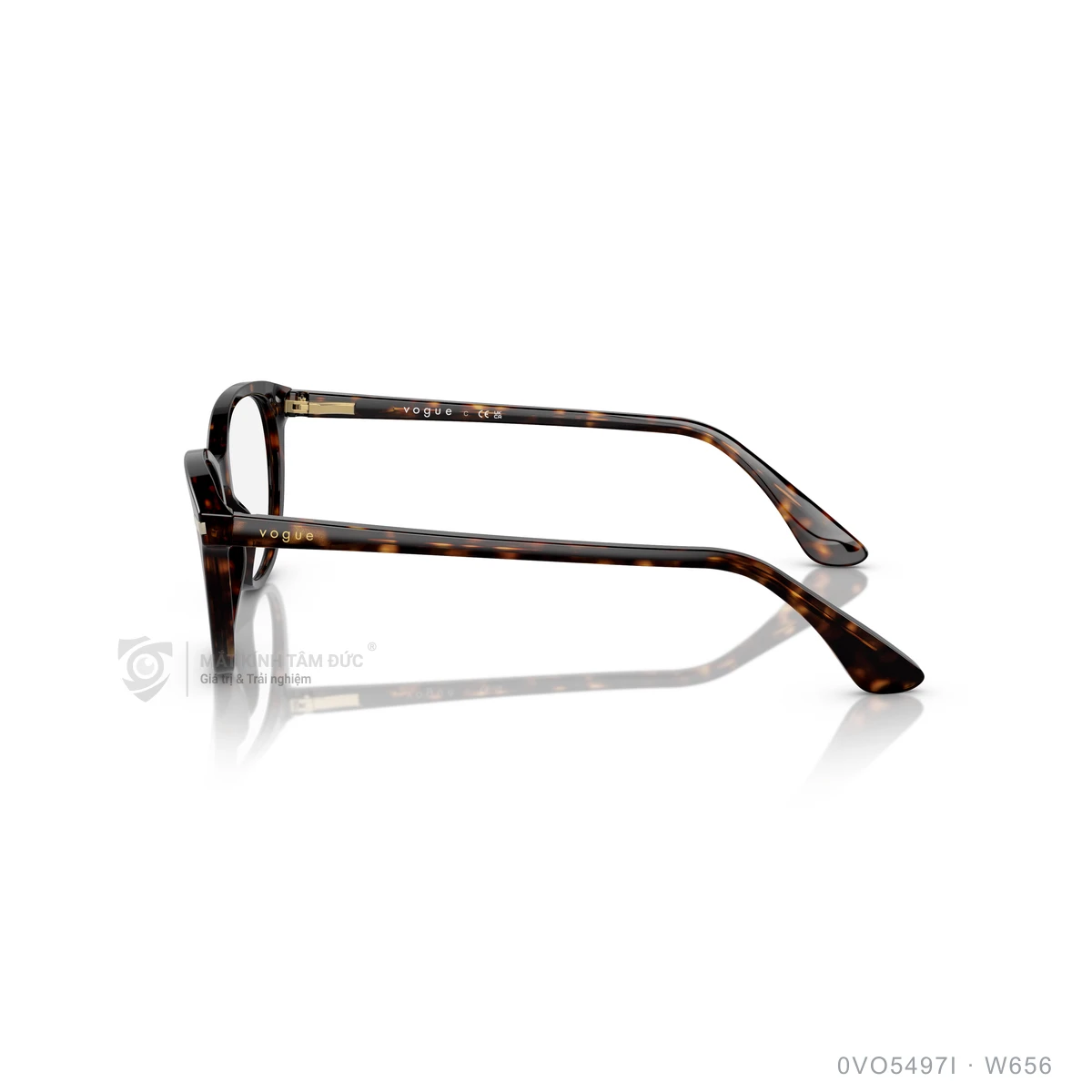 Gọng kính Vogue 0VO5497I - Ảnh 19