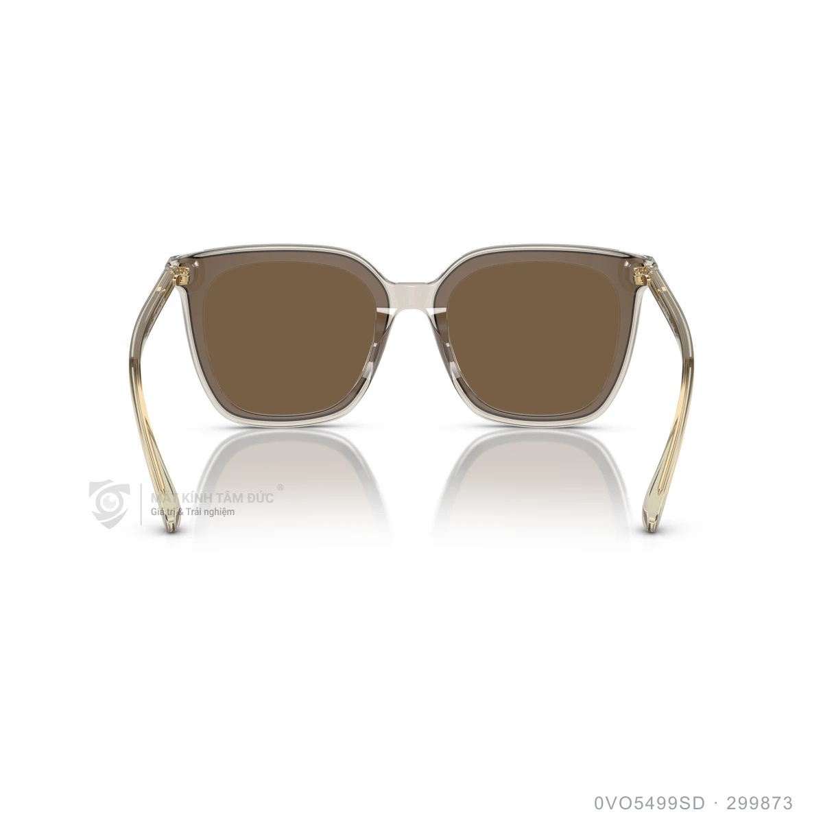 Kính mát Vogue 0VO5499SD - Ảnh 5