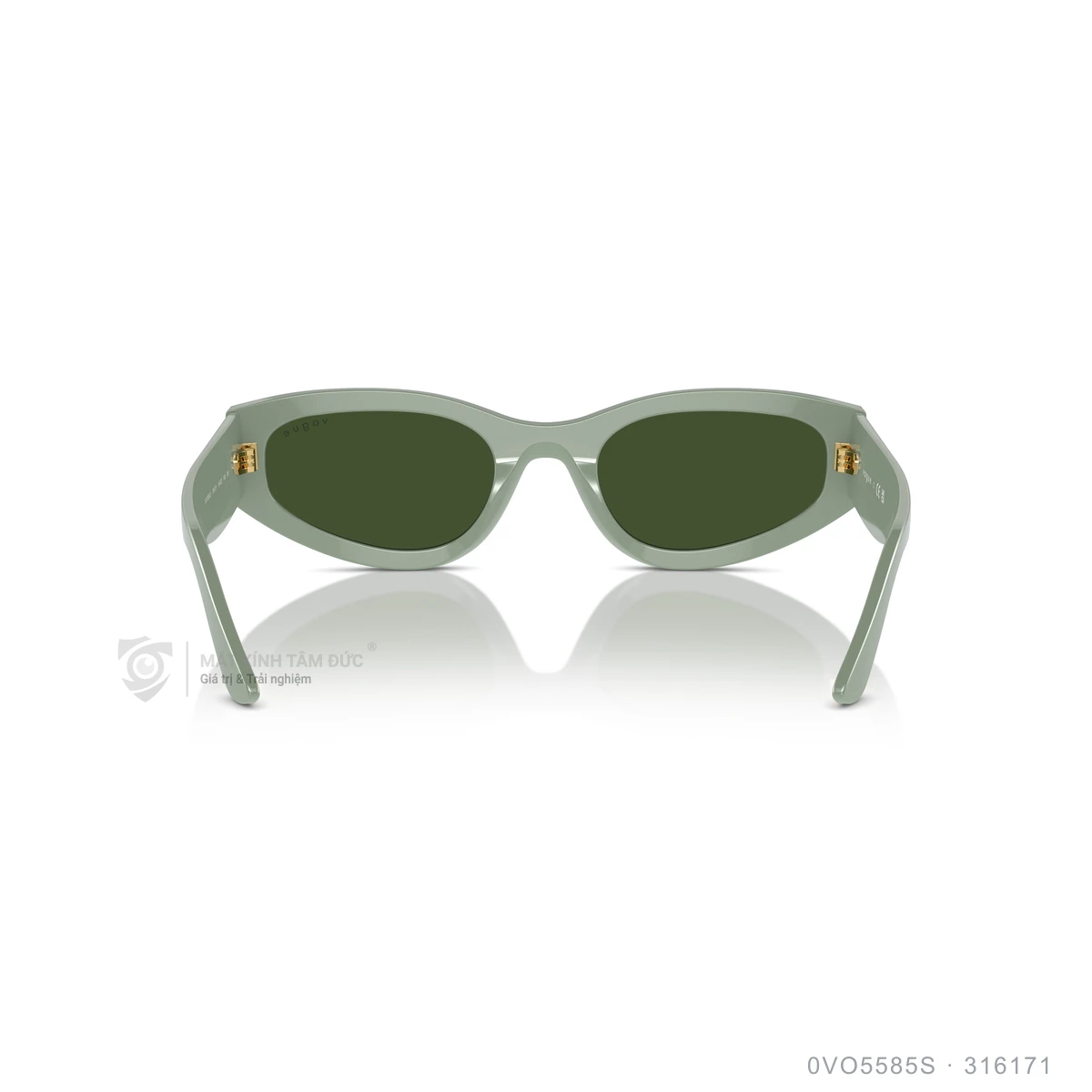 Kính mát Vogue 0VO5585S - Ảnh 15