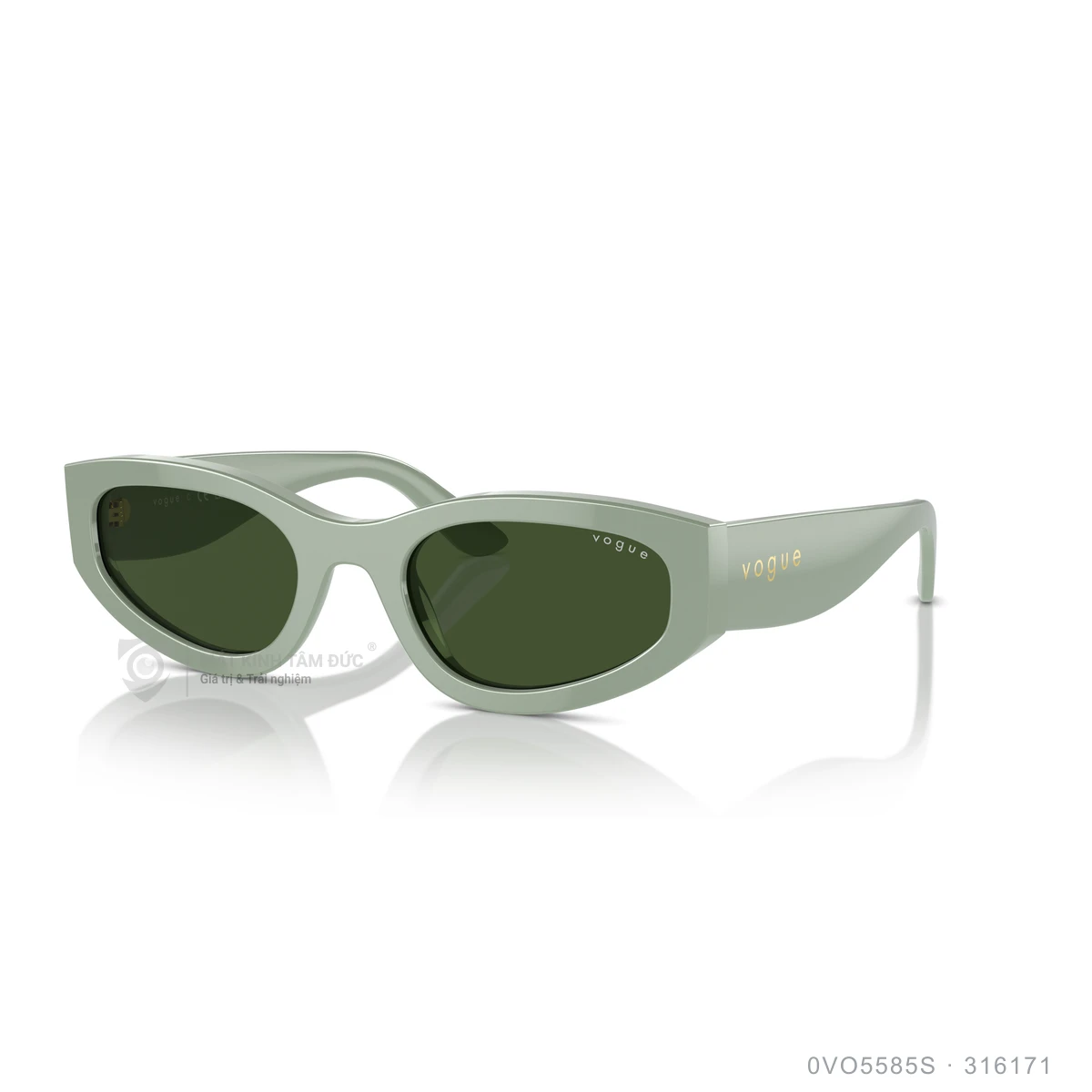 Kính mát Vogue 0VO5585S - Ảnh 12