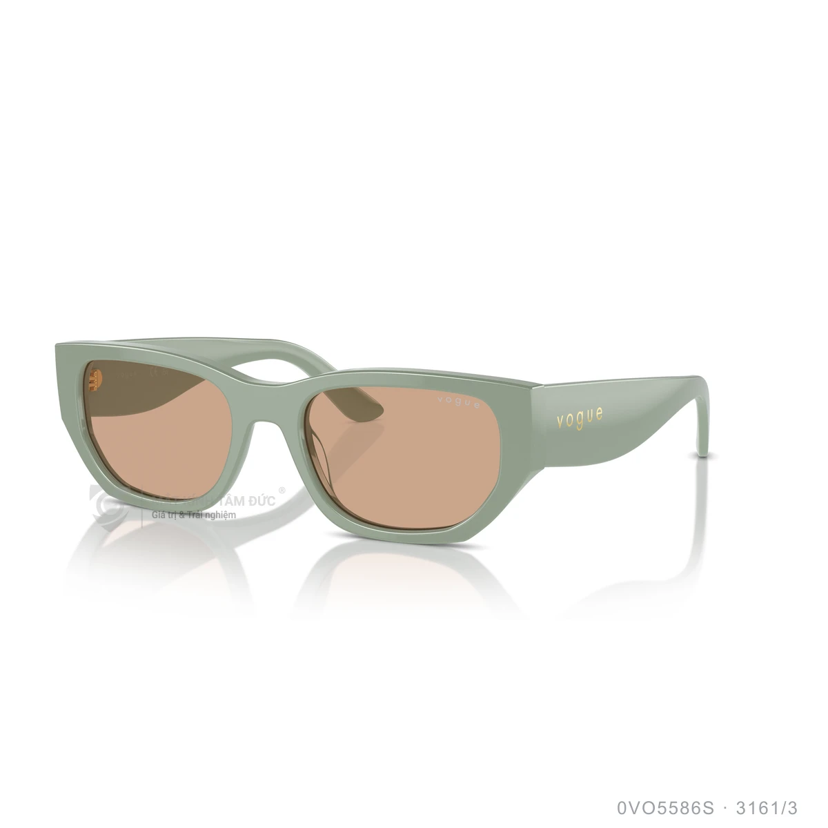 Kính mát Vogue 0VO5586S - Ảnh 12