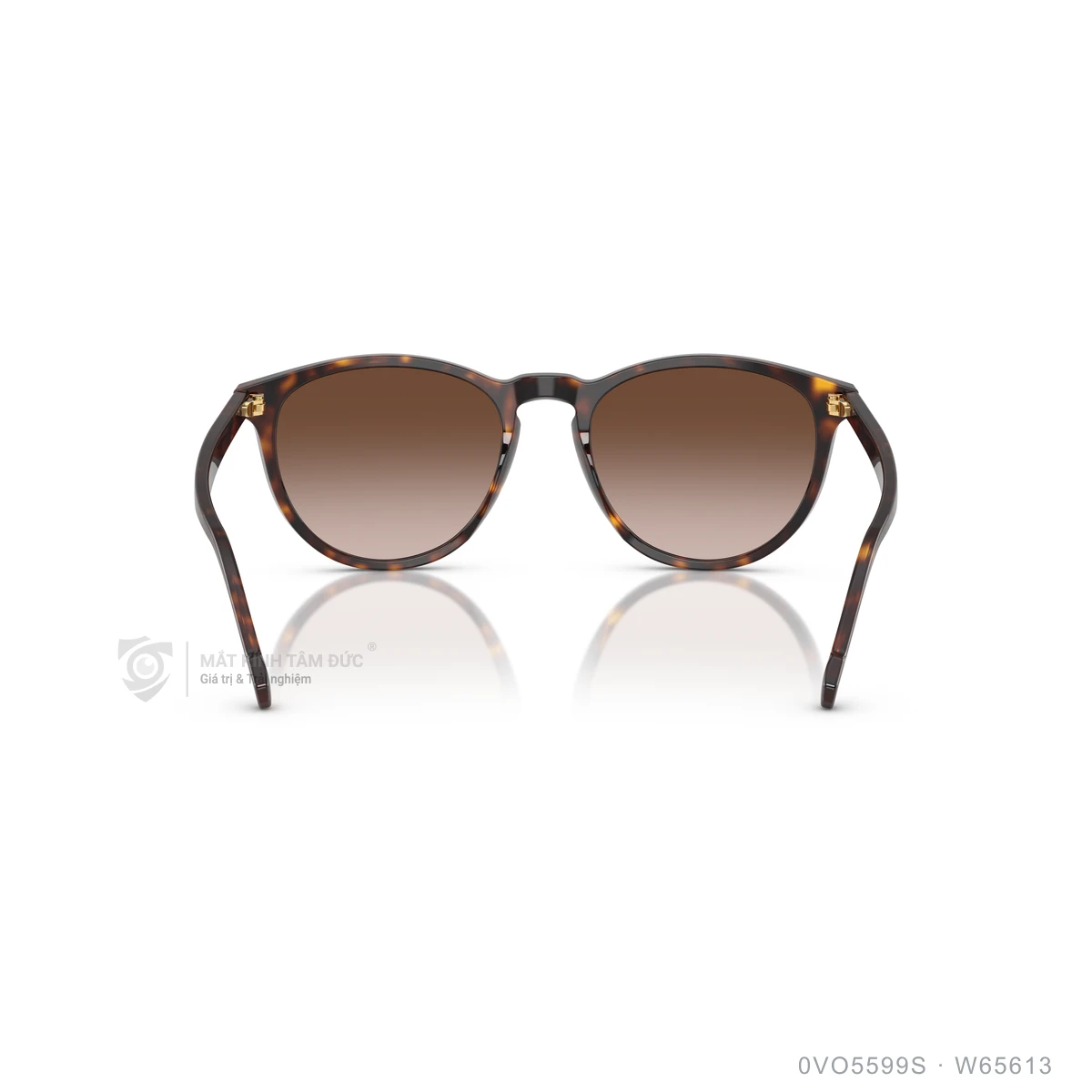 Kính mát Vogue 0VO5599S - Ảnh 25