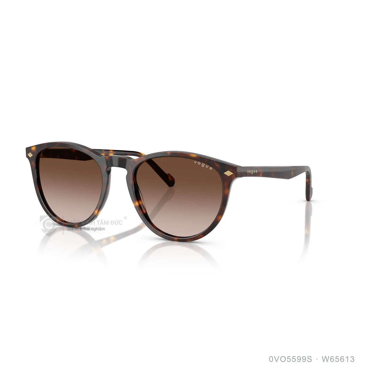 Kính mát Vogue 0VO5599S - Ảnh 22