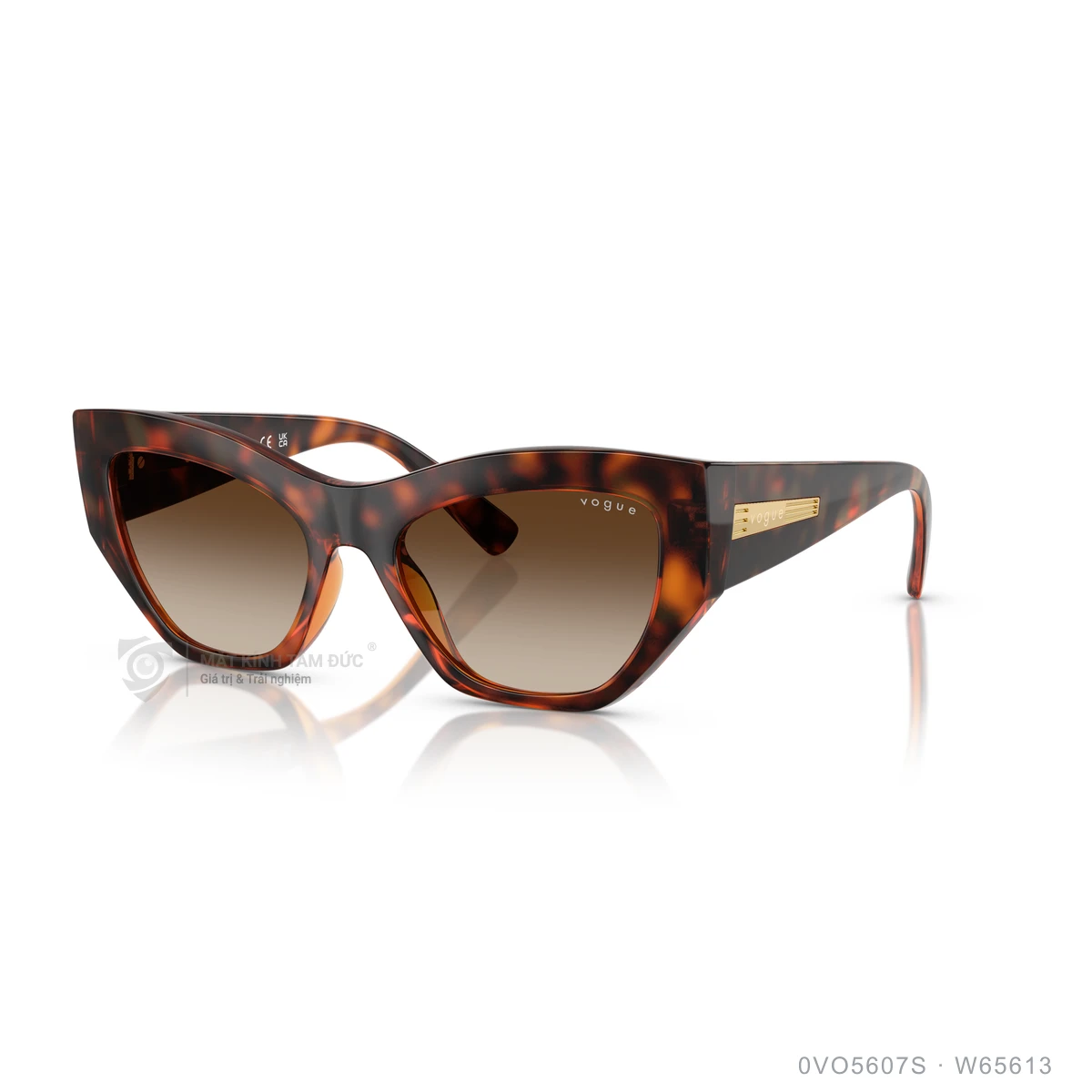 Kính mát Vogue 0VO5607S - Ảnh 27