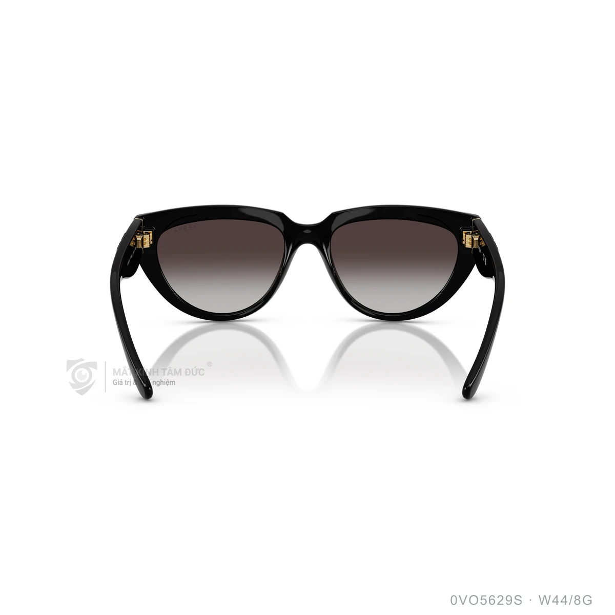 Kính mát Vogue 0VO5629S - Ảnh 25