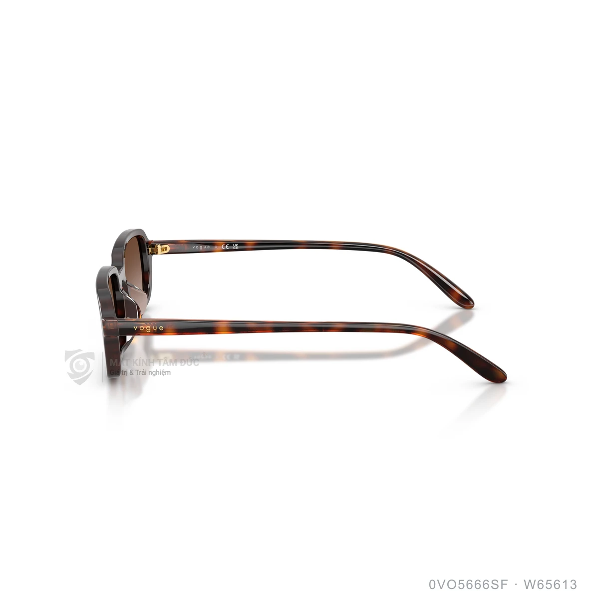 Kính mát Vogue 0VO5666SF - Ảnh 9
