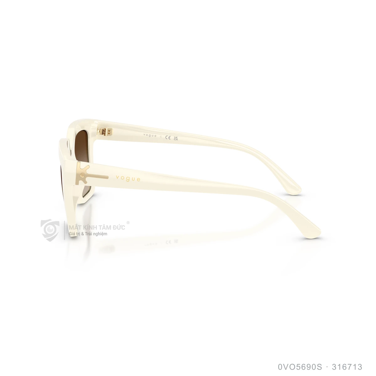 Kính mát Vogue 0VO5690S - Ảnh 19