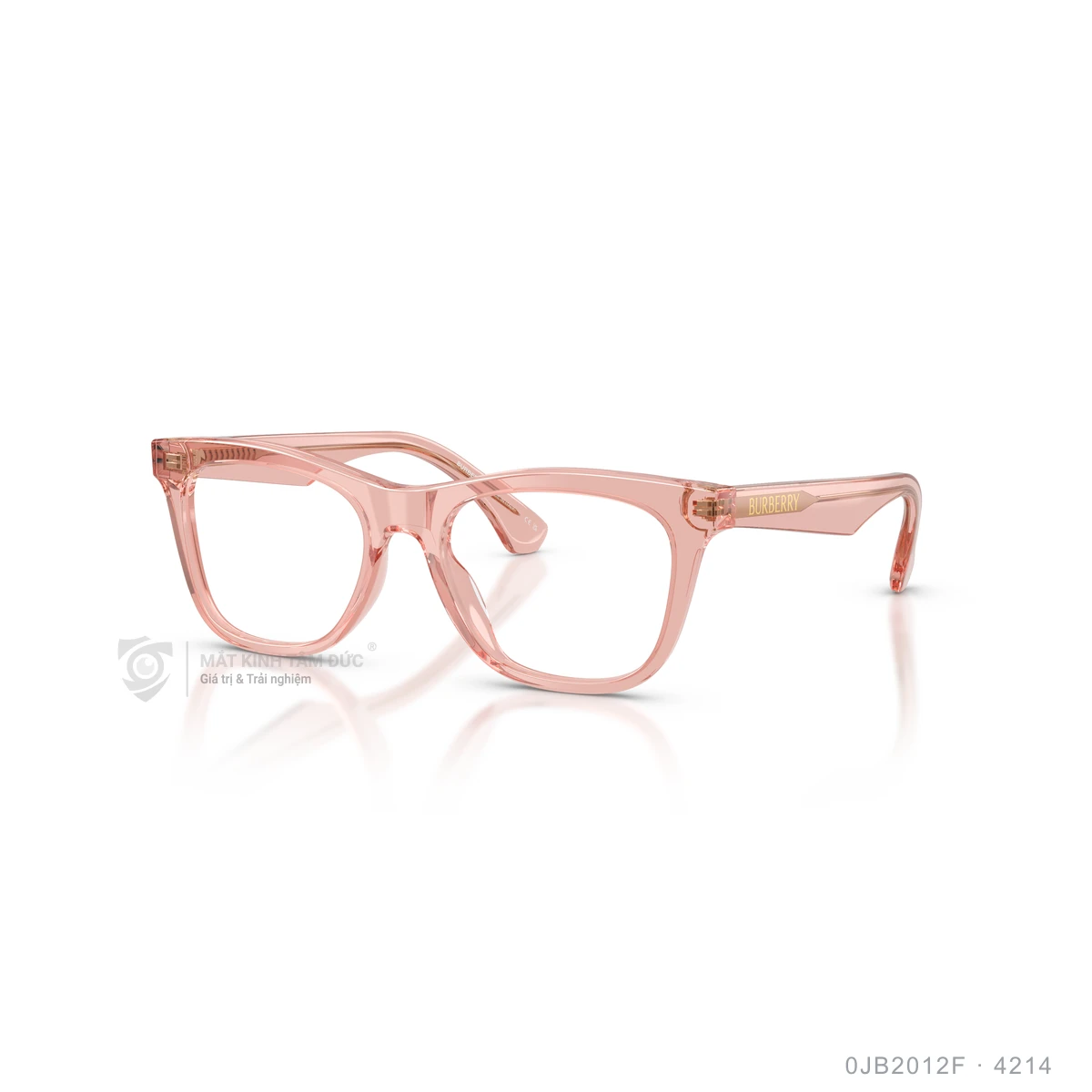 Chi tiết góc nghiêng Gọng kính Burberry 0JB2012F