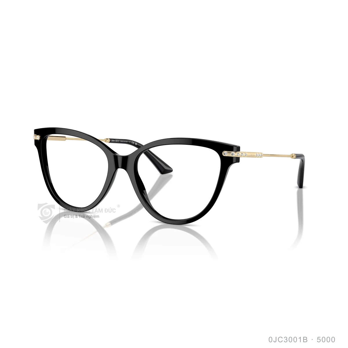 Chi tiết góc nghiêng Gọng kính Jimmy Choo 0JC3001B
