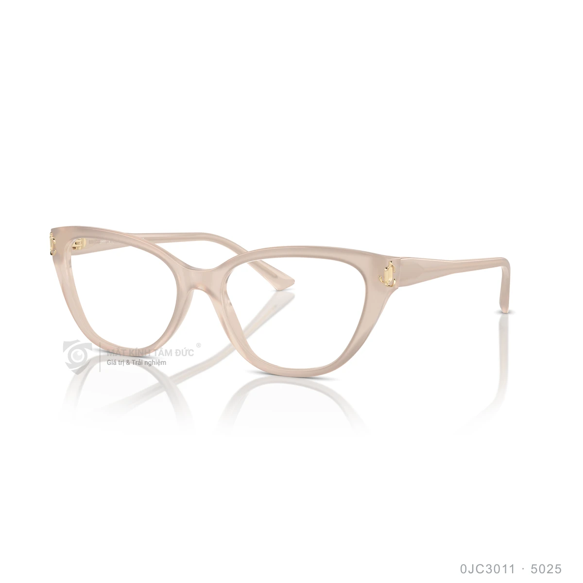 Gọng kính Jimmy Choo 0JC3011 - Ảnh 12