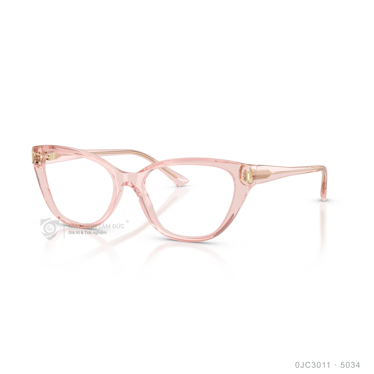 Gọng kính Jimmy Choo 0JC3011 - Ảnh 22