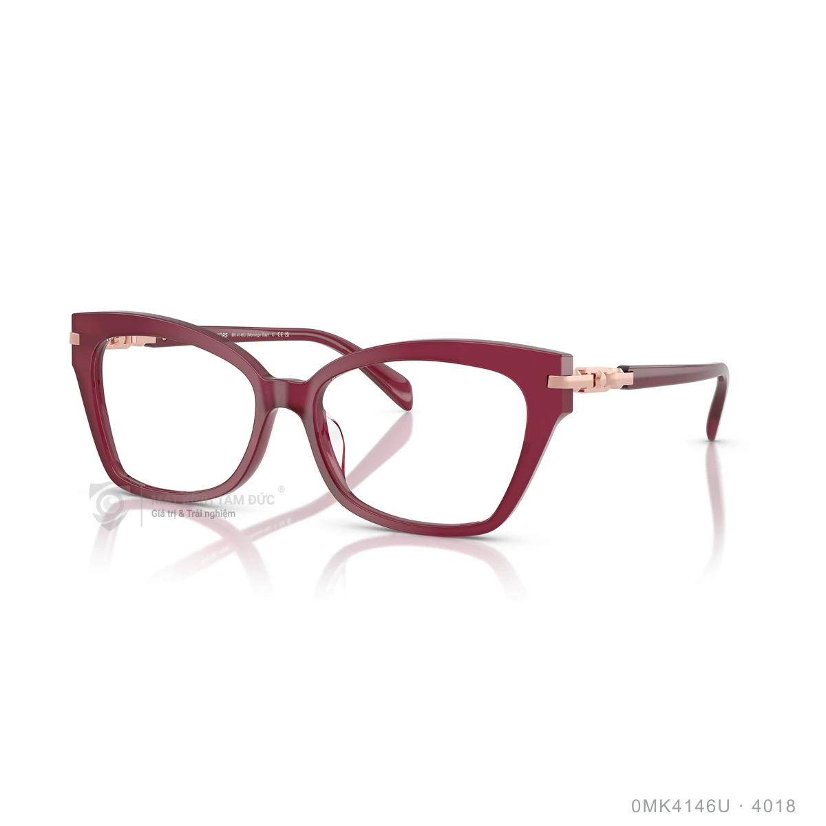 Gọng kính Michael Kors 0MK4146U - Ảnh 17