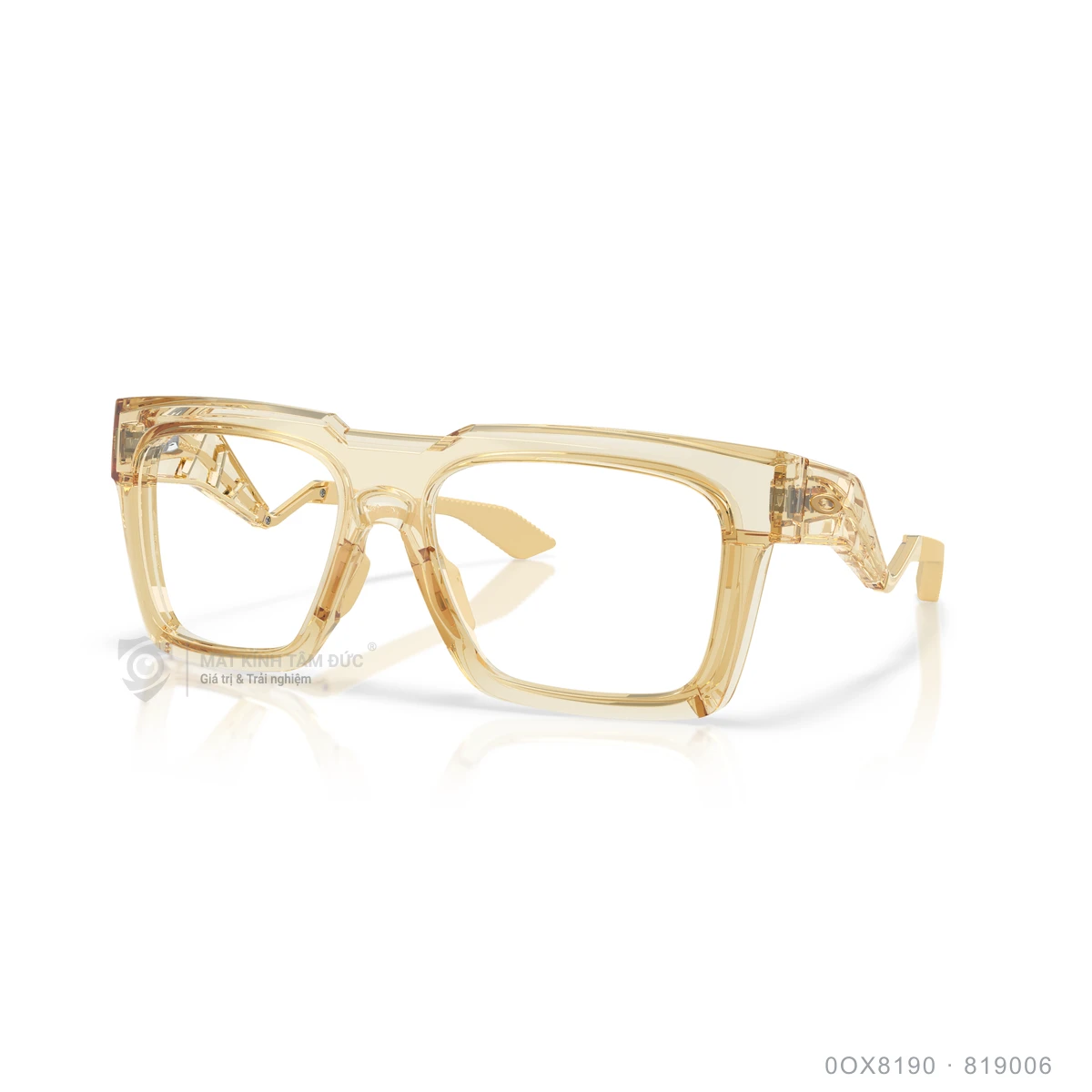 Gọng kính Oakley 0OX8190 - Ảnh 22