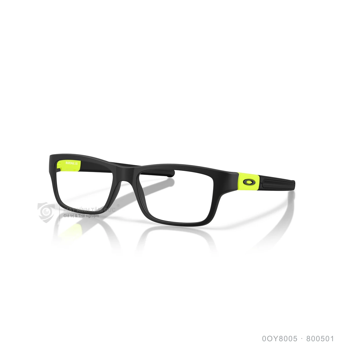 Chi tiết góc nghiêng Gọng kính Oakley 0OY8005