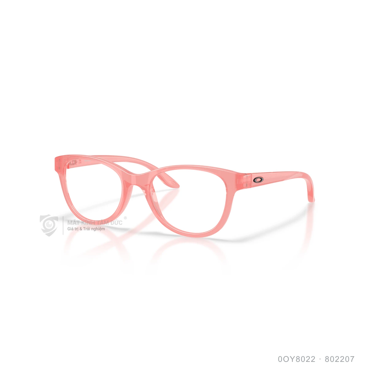 Chi tiết góc nghiêng Gọng kính Oakley 0OY8022