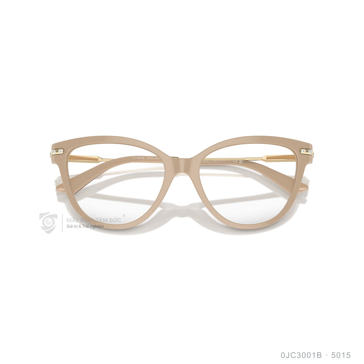 Gọng kính Jimmy Choo 0JC3001B - Ảnh 13