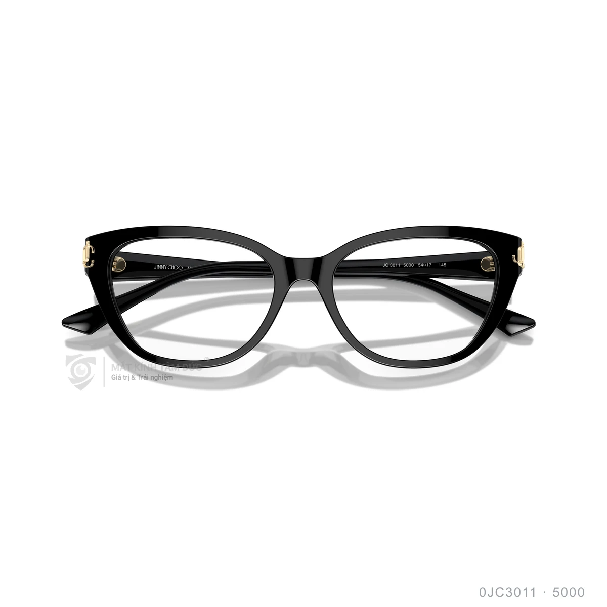 Gọng kính Jimmy Choo 0JC3011 - Ảnh 3