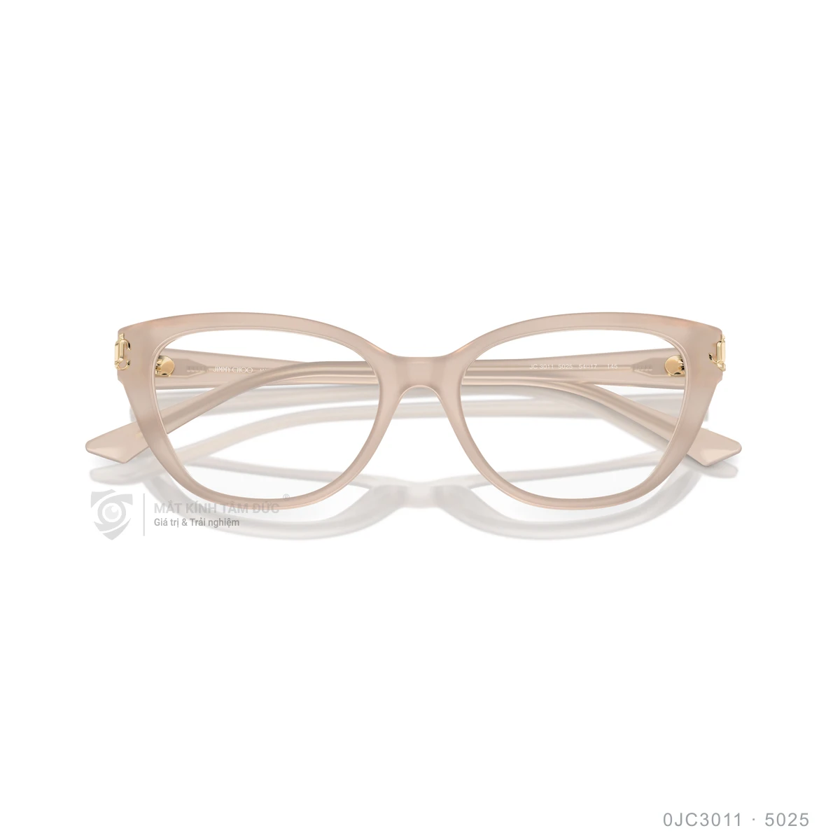 Gọng kính Jimmy Choo 0JC3011 - Ảnh 13