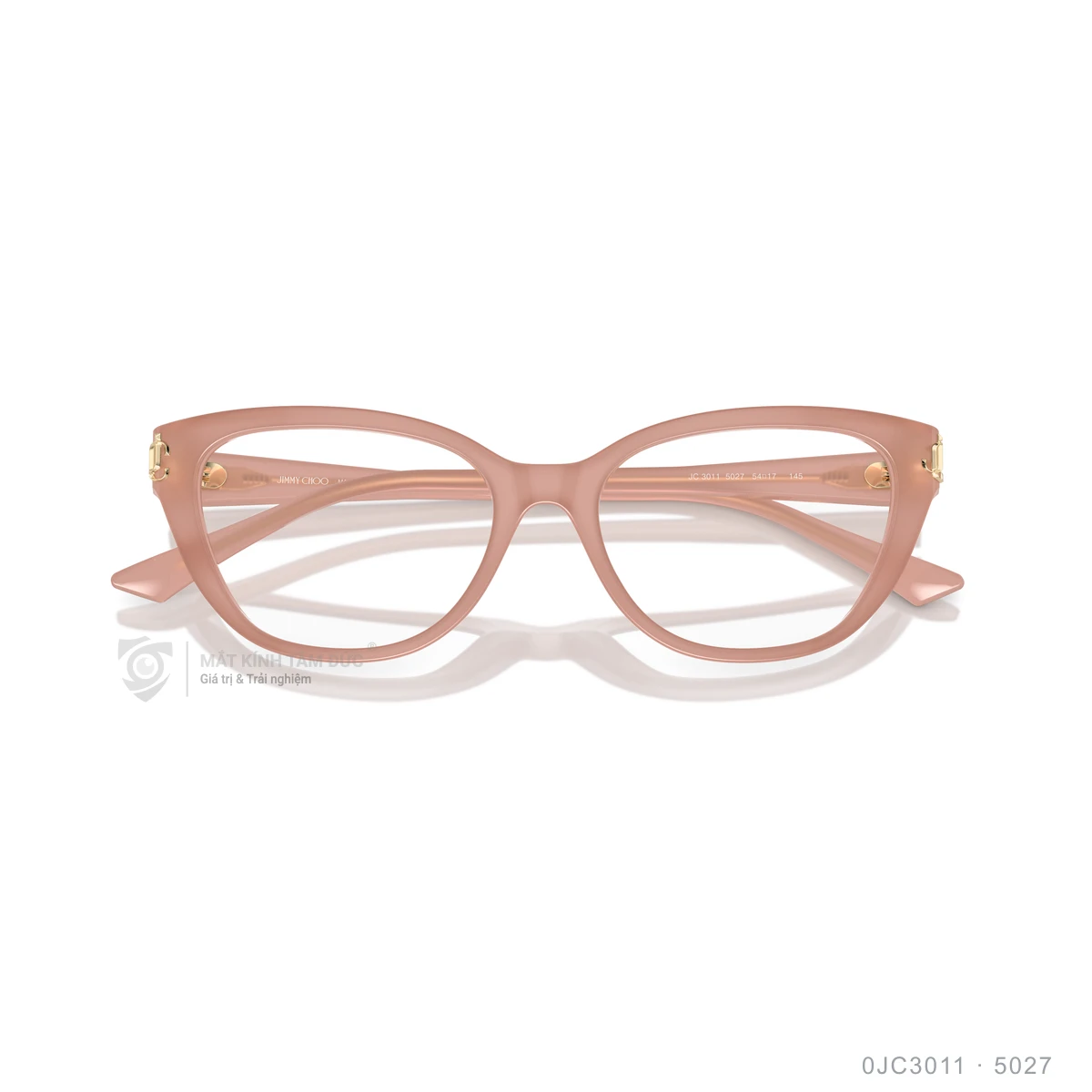 Gọng kính Jimmy Choo 0JC3011 - Ảnh 18
