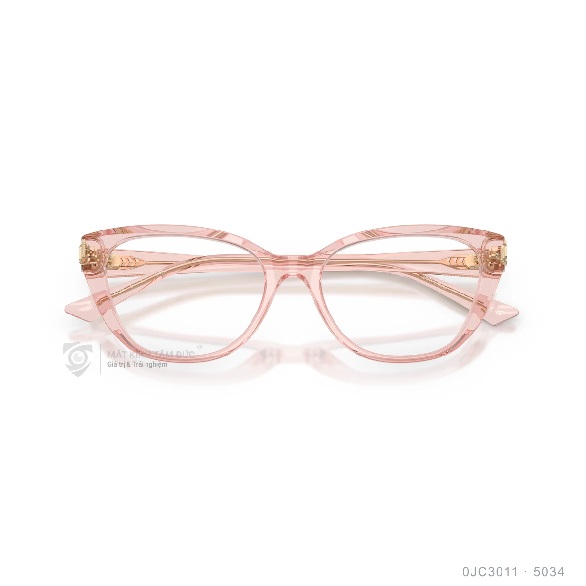 Gọng kính Jimmy Choo 0JC3011 - Ảnh 23