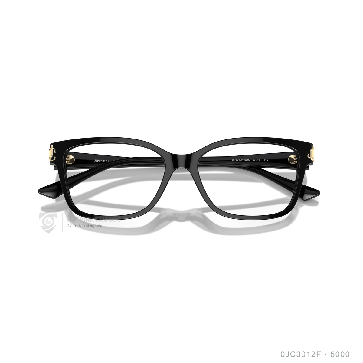 Gọng kính Jimmy Choo 0JC3012F - Ảnh 3