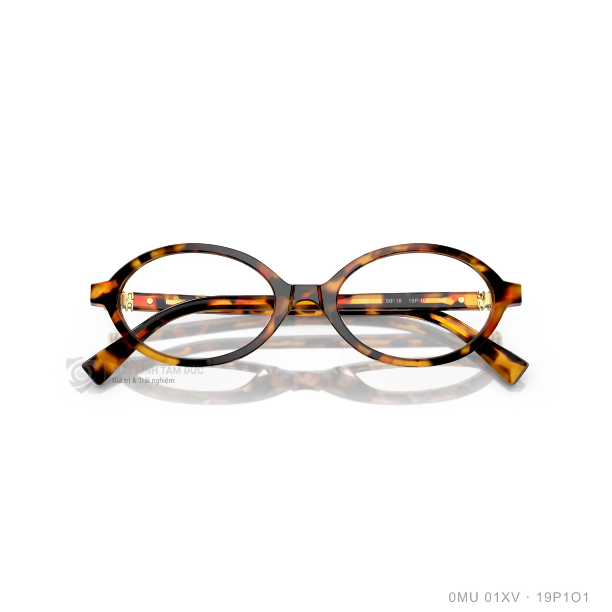 Gọng kính Miu Miu 0MU 01XV - Ảnh 18