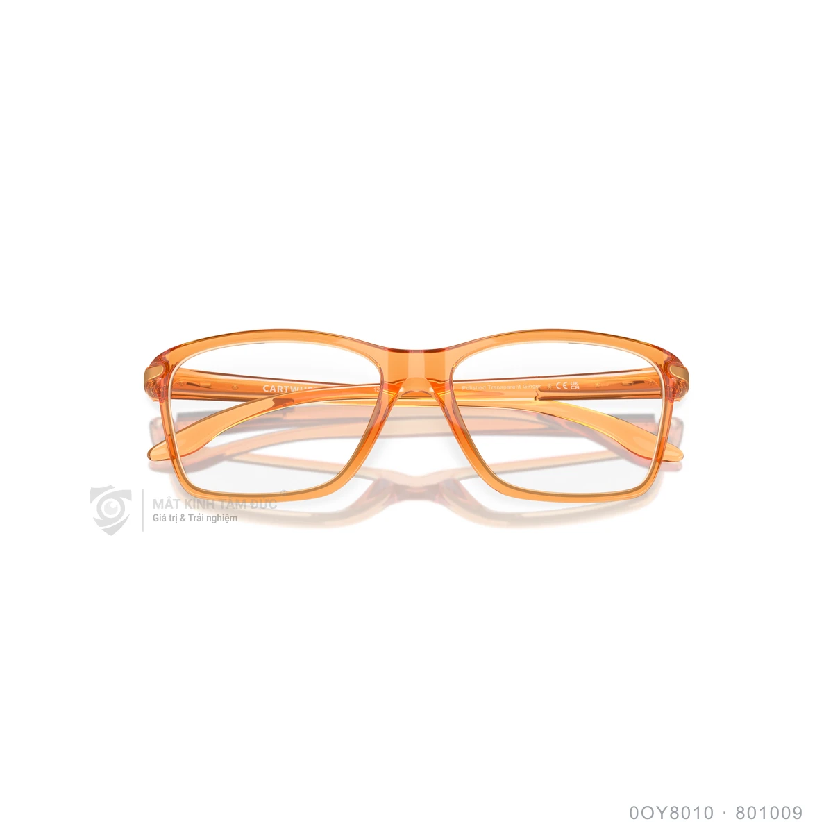 Gọng kính Oakley 0OY8010 - Ảnh 19