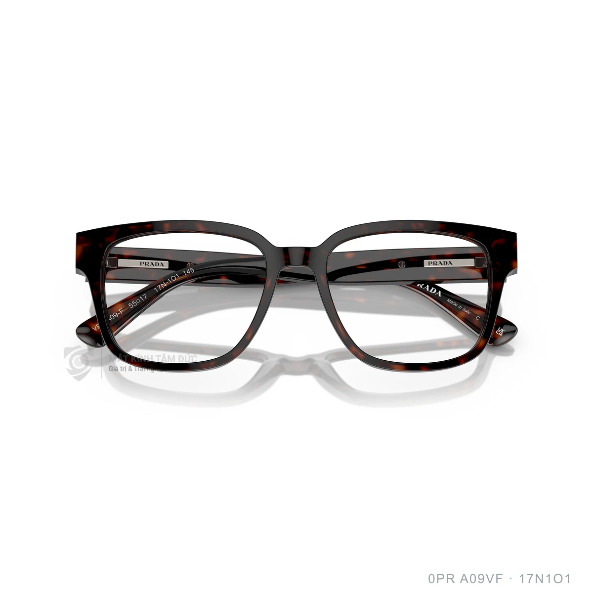 Gọng kính Prada 0PR A09VF - Ảnh 8