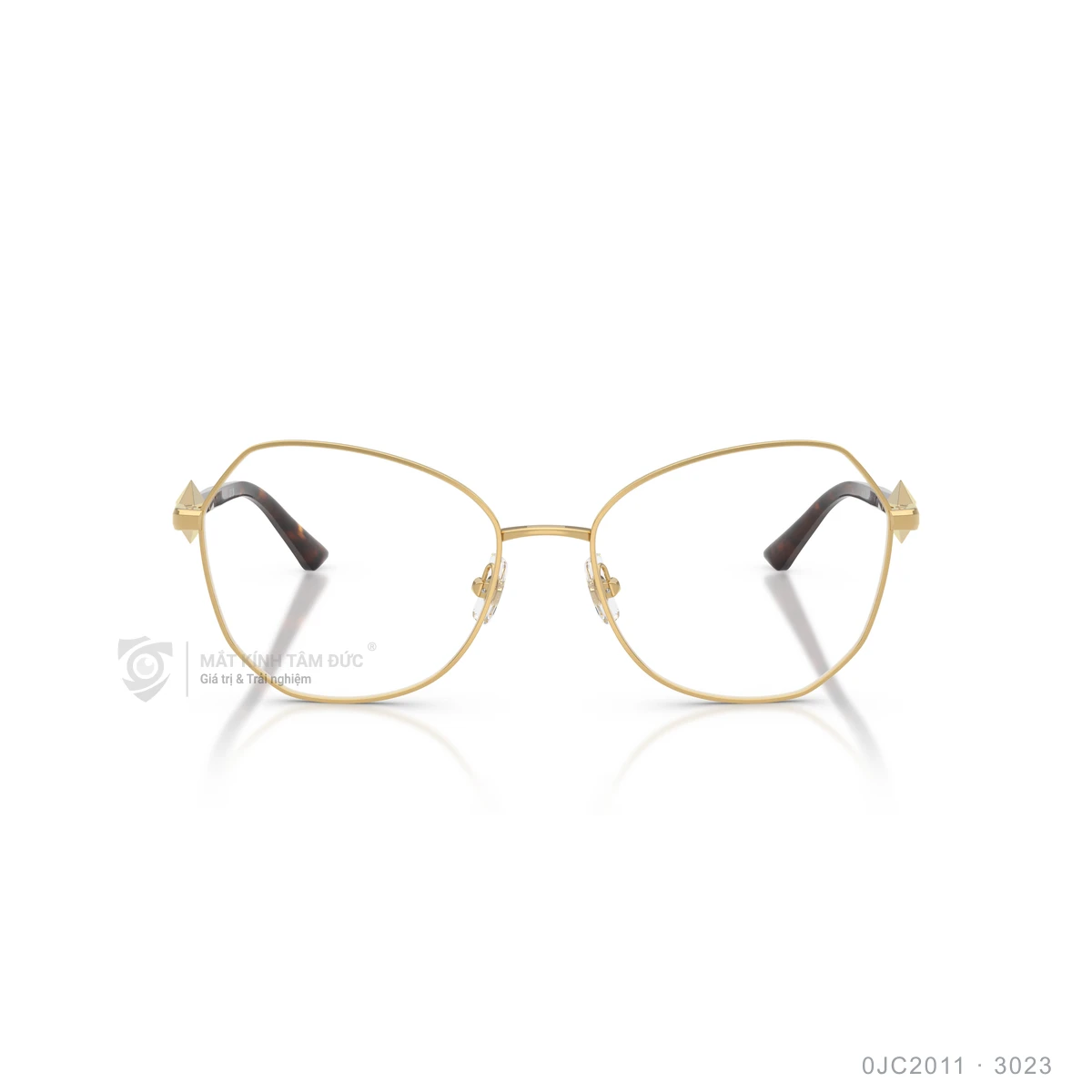 Gọng kính Jimmy Choo 0JC2011 - Ảnh 6