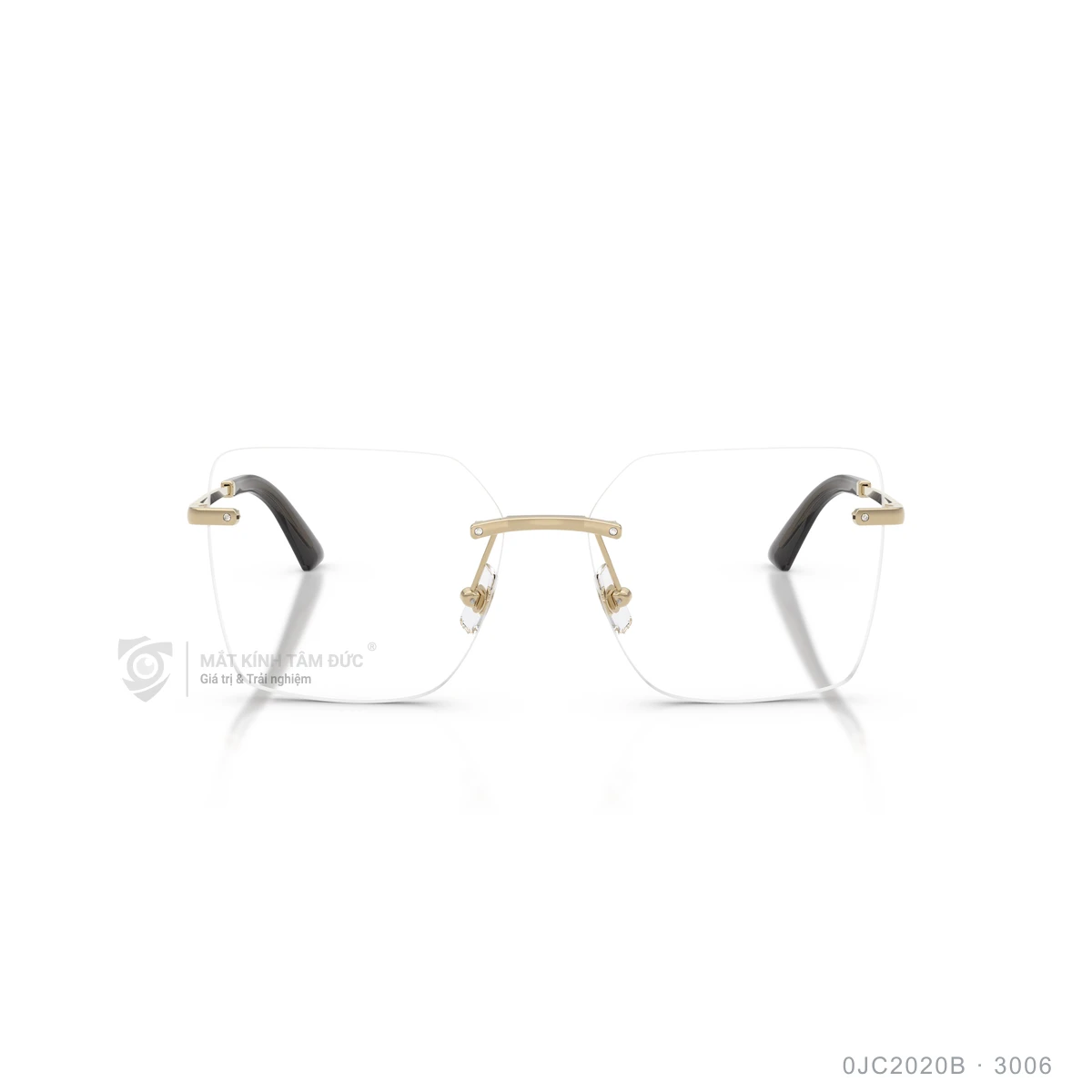 Hình ảnh thực tế Gọng kính Jimmy Choo 0JC2020B