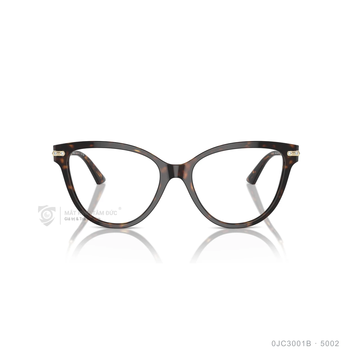 Gọng kính Jimmy Choo 0JC3001B - Ảnh 6
