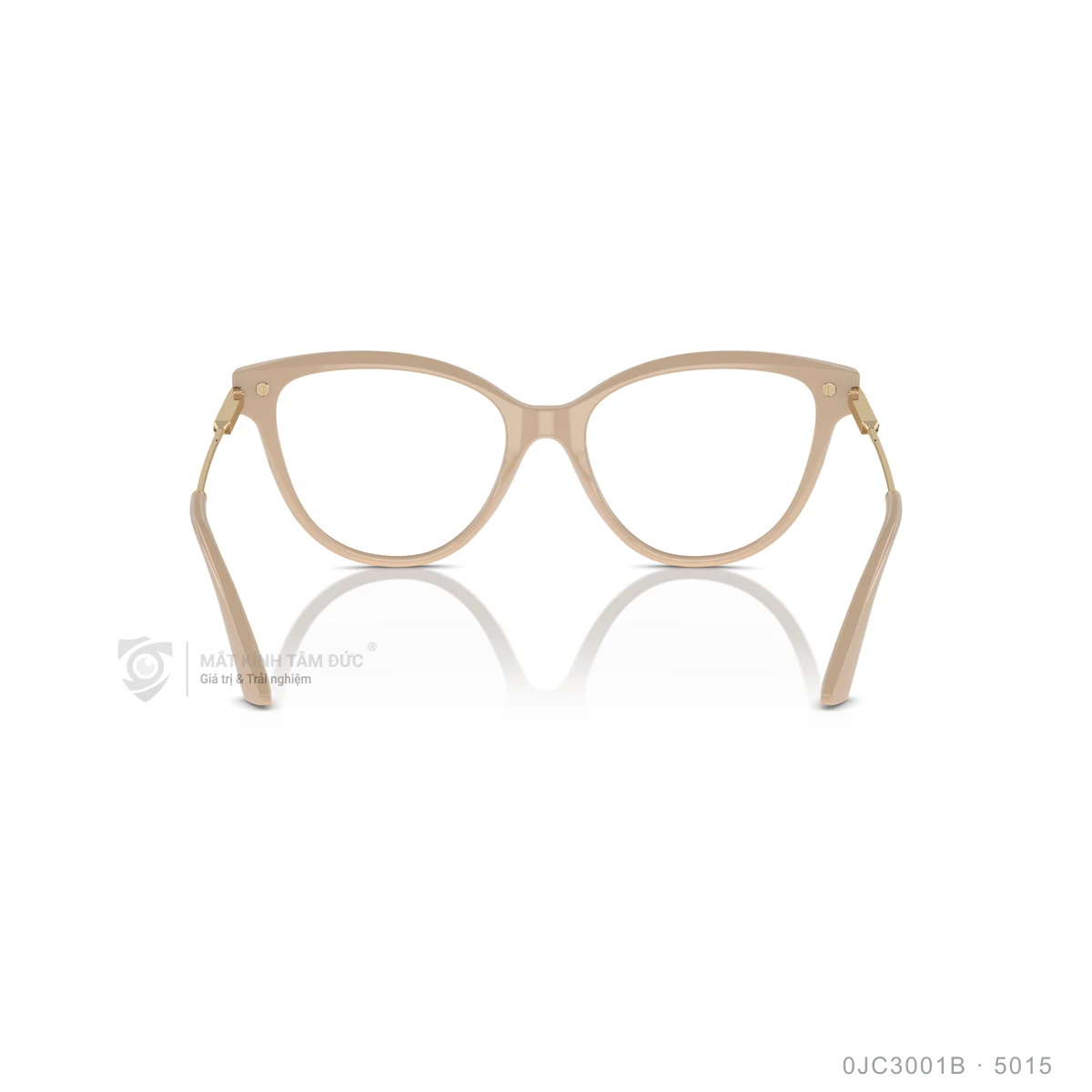 Gọng kính Jimmy Choo 0JC3001B - Ảnh 15