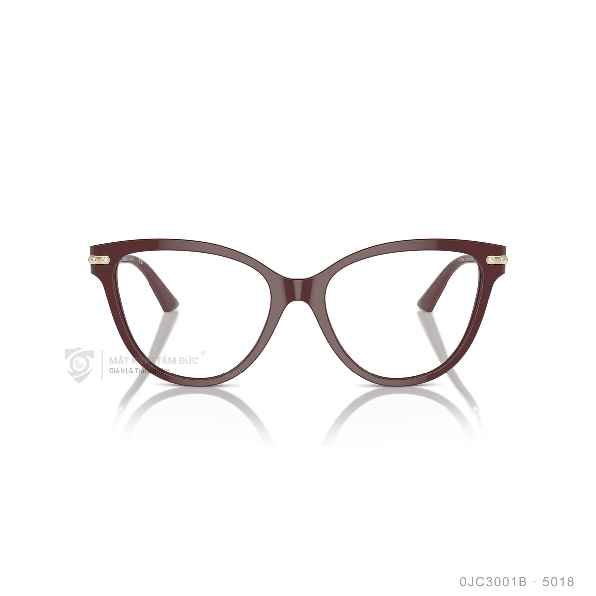 Gọng kính Jimmy Choo 0JC3001B - Ảnh 16