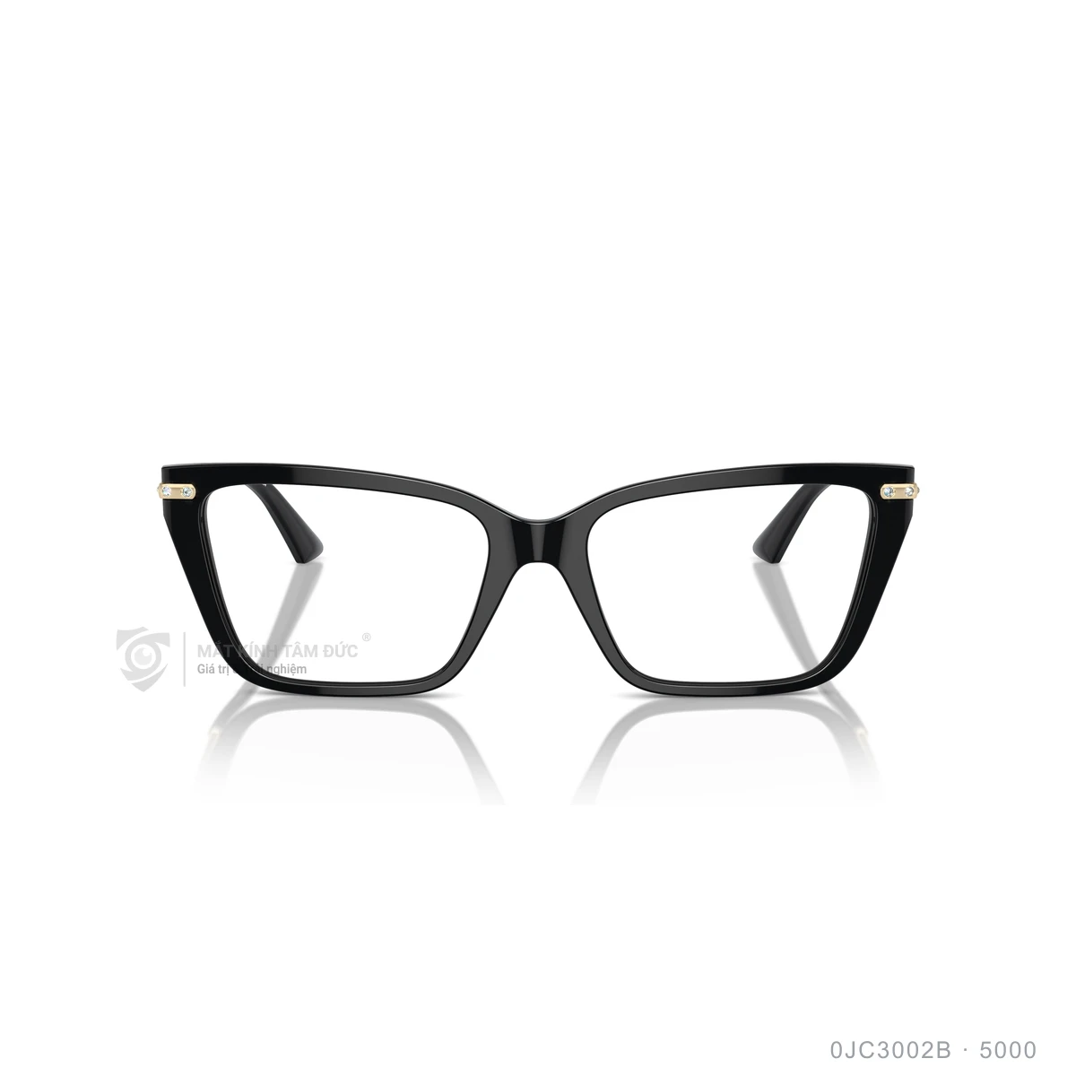Gọng kính Jimmy Choo 0JC3002B