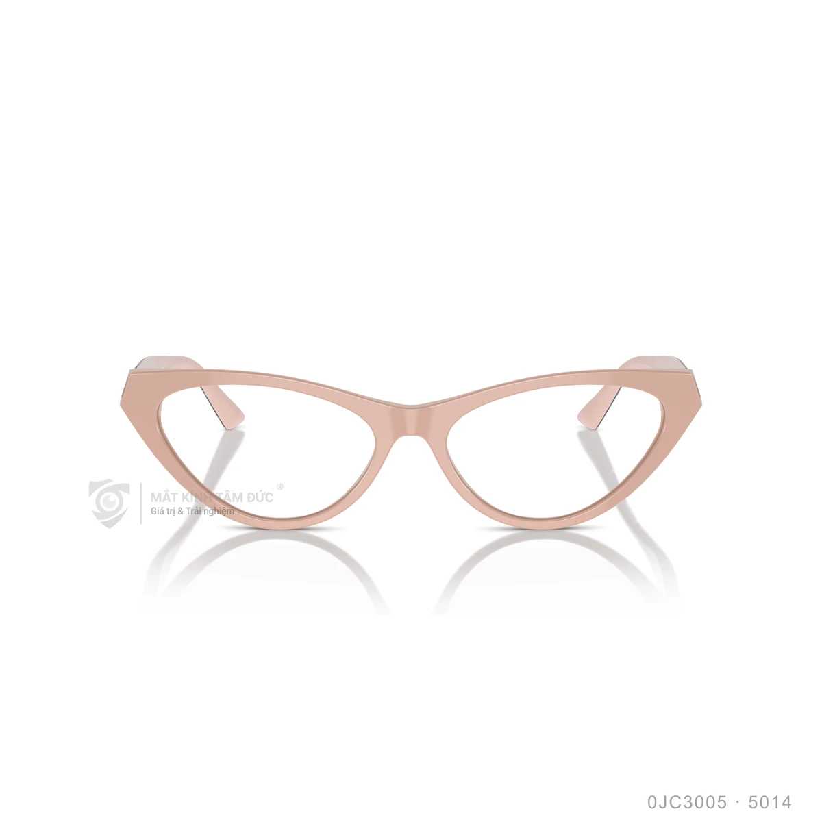 Gọng kính Jimmy Choo 0JC3005 - Ảnh 6