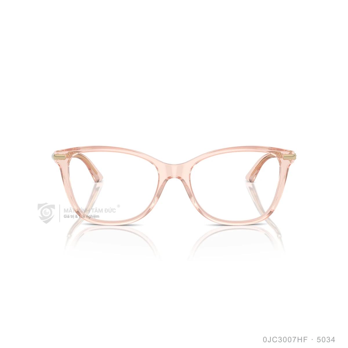 Gọng kính Jimmy Choo 0JC3007HF - Ảnh 11