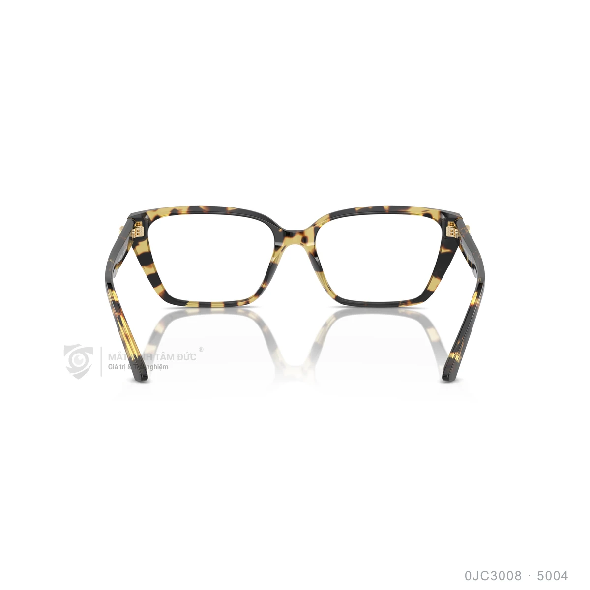 Gọng kính Jimmy Choo 0JC3008 - Ảnh 10
